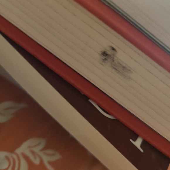 Five survive by Holly Jackson - Picture 3 of 3